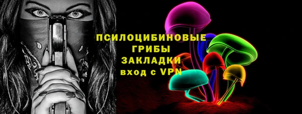 твердый Алзамай