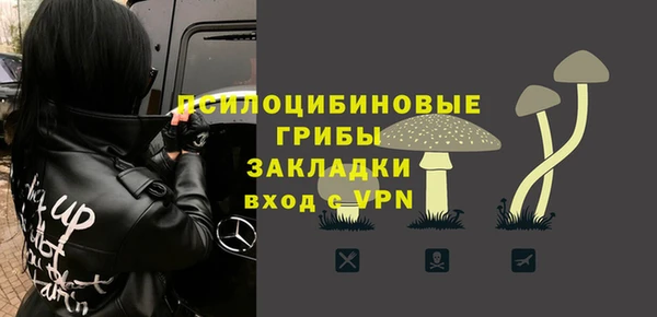 твердый Алзамай