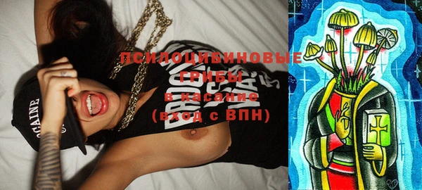 ПСИЛОЦИБИНОВЫЕ ГРИБЫ Алексеевка