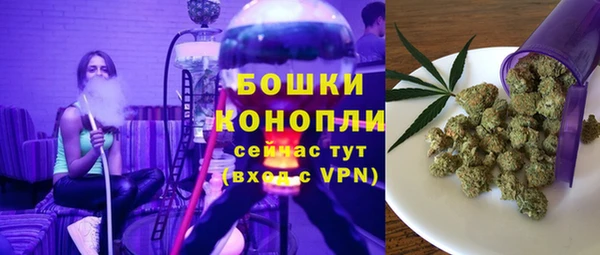 ПСИЛОЦИБИНОВЫЕ ГРИБЫ Алексеевка