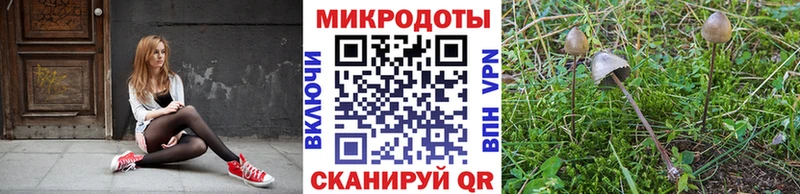 купить наркотик Собинка ОМГ ОМГ рабочий сайт Галлюциногенные грибы GOLDEN TEACHER